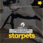 WhatsApp Image 2022-09-21 at 11.07.48 AM