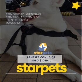 WhatsApp Image 2022-09-21 at 11.07.48 AM